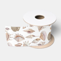 Beachcomber Seashells in Neutral Colours