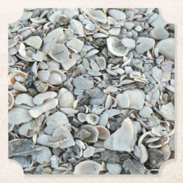 Beachcomber Shell Scatter Paper Coaster
