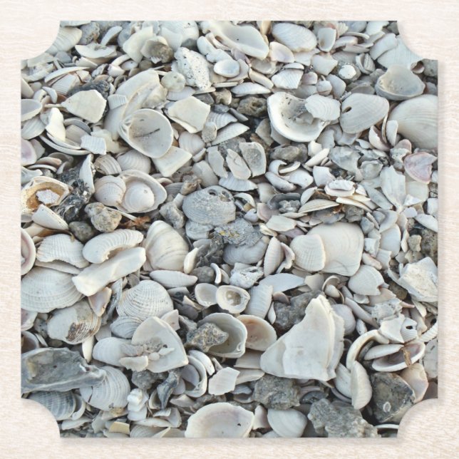 Beachcomber Shell Scatter Paper Coaster (Front)