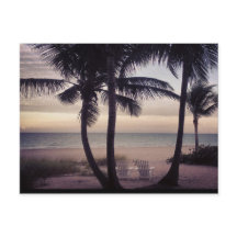 Beachcomber's Paradise