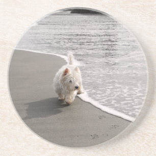 Beachcombing Westie Dog Photo Sandstone Coaster