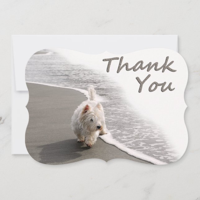 Beachcombing Westie Thank You Note (Front)
