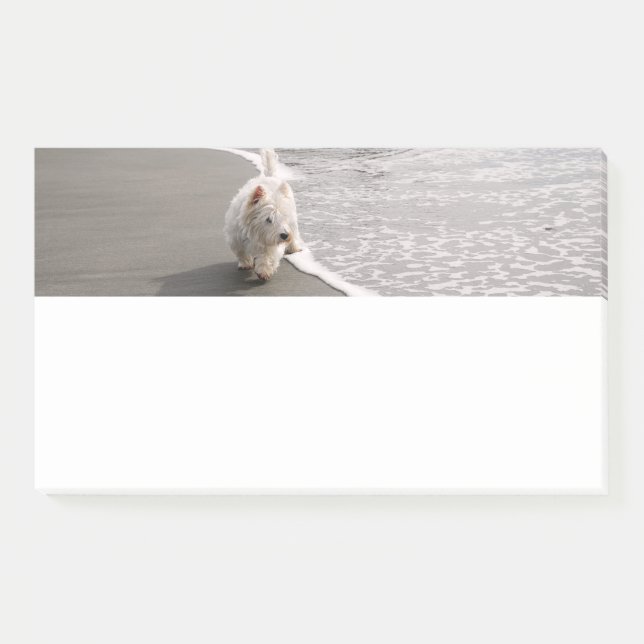 Beachcombing White Westie Dog Photo Stationery Post-it Notes (Front)
