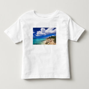 Beaches, Barahona, Dominican Republic, 2 Toddler T-Shirt
