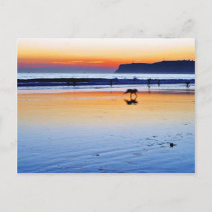 Beaches Point Loma Sunsets Postcard