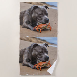 "Beachside Pals: A Staffy and Its Crab Companion" Beach Towel