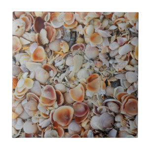 Beachy Seashells Tile
