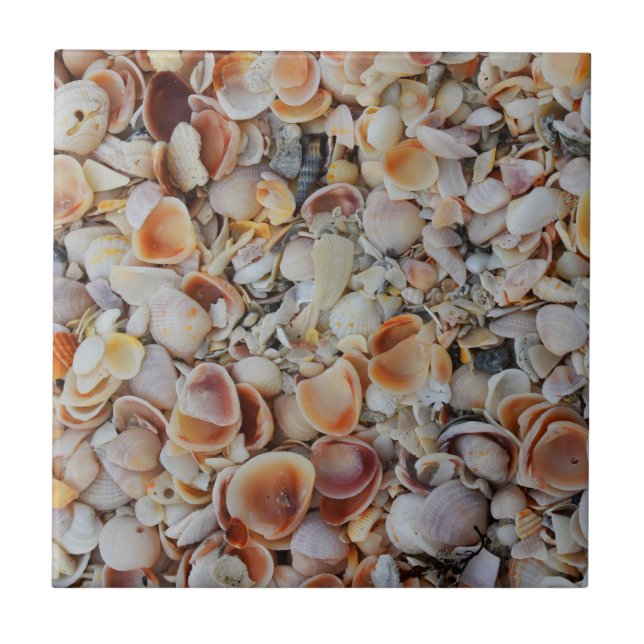 Beachy Seashells Tile (Front)