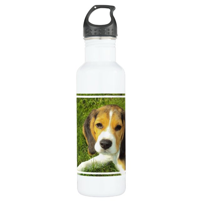 Beagle 710 Ml Water Bottle (Front)