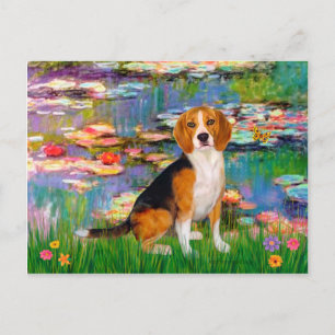 Beagle 7 - Lilies 2 Postcard