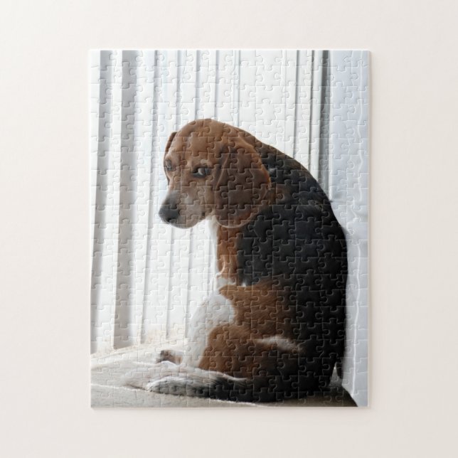 beagle attitude jigsaw puzzle (Vertical)