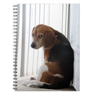 beagle attitude spiral notebook