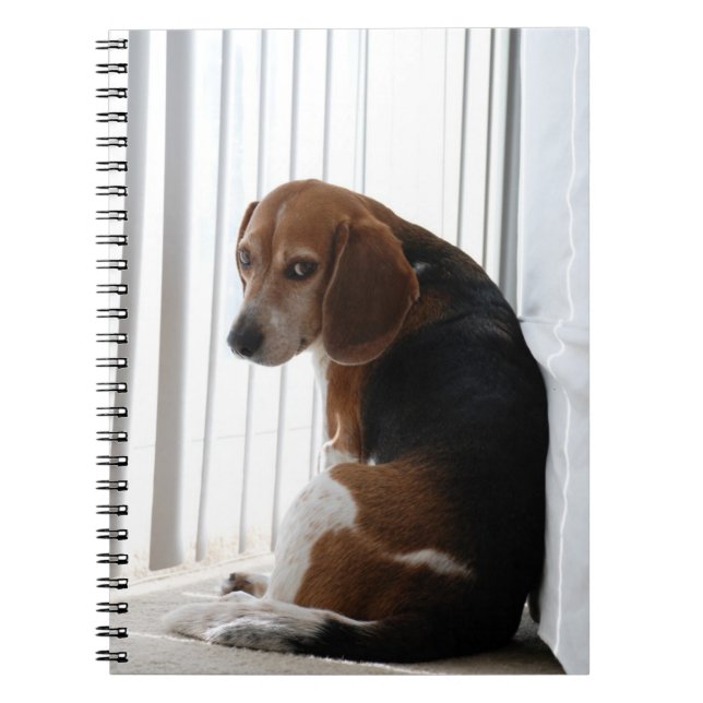 beagle attitude spiral notebook (Front)