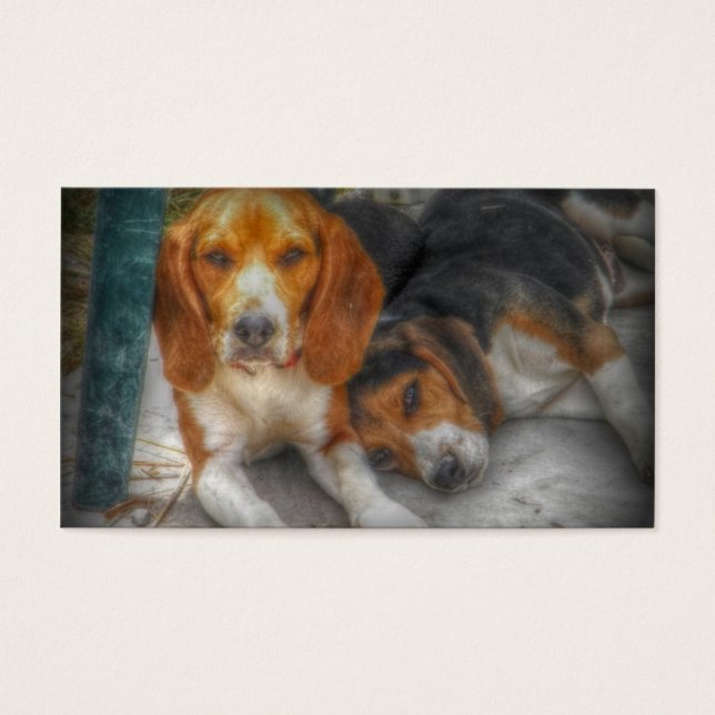 Beagle Brothers (Front)