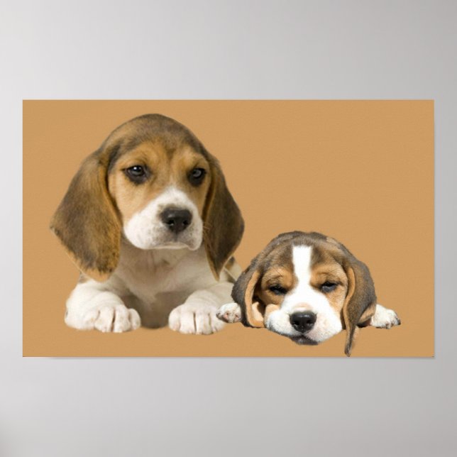Beagle Buddies Print (Front)