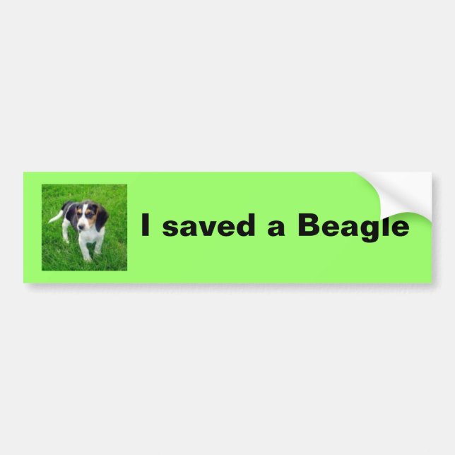 Beagle Bumper Sticker (Front)