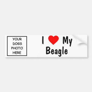 Beagle Bumper Sticker