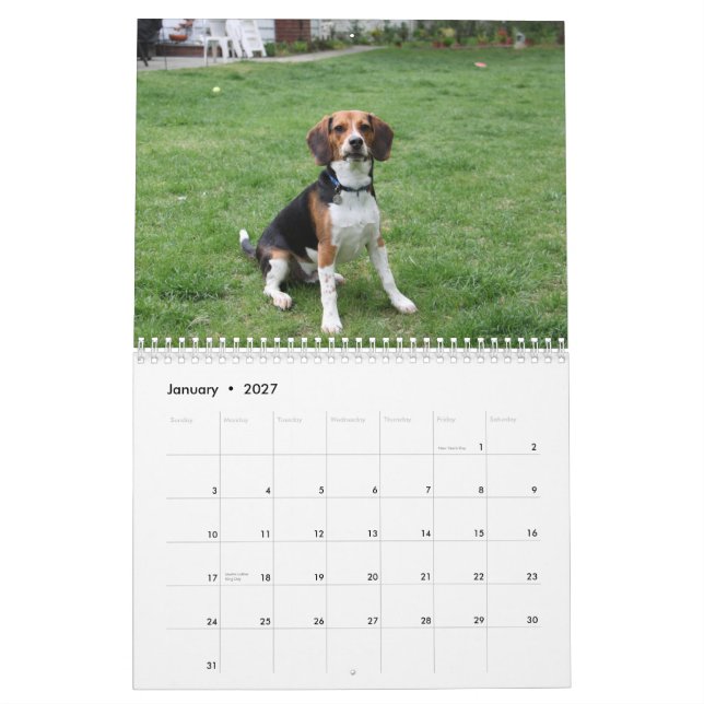 Beagle Calander Calendar (Jan 2027)