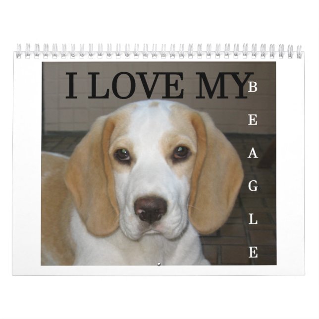 Beagle Calender Calendar (Cover)