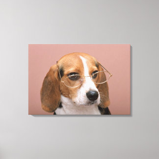 Beagle Canvas Print
