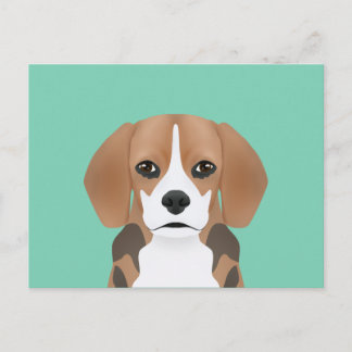Beagle cartoon postcard