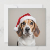 Beagle Christmas