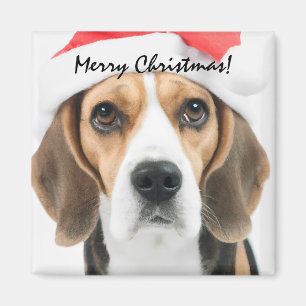 Beagle Christmas Magnet