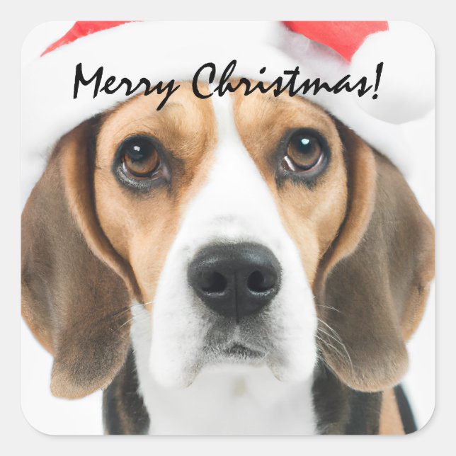 Beagle Christmas Square Sticker (Front)