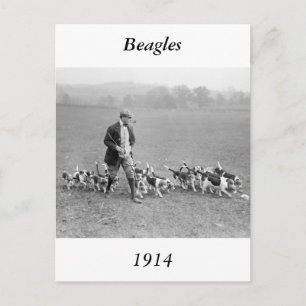 Beagle Club, 1914 Postcard