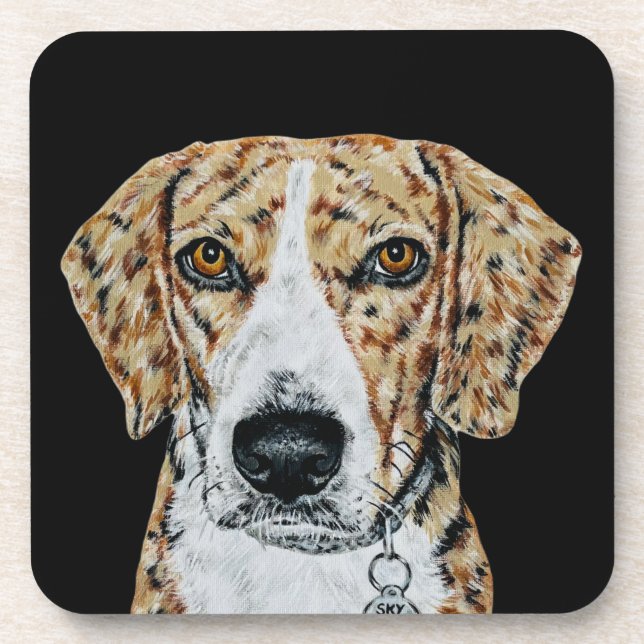 BEAGLE COASTER (Front)