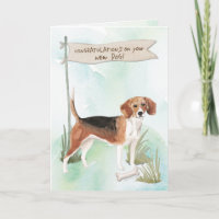 Beagle Congratulations on New Dog