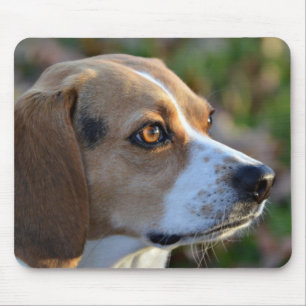Beagle Determination Mouse Pad