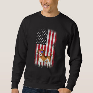 Beagle Dog American Flag Boys Girls Men Women Four Sweatshirt