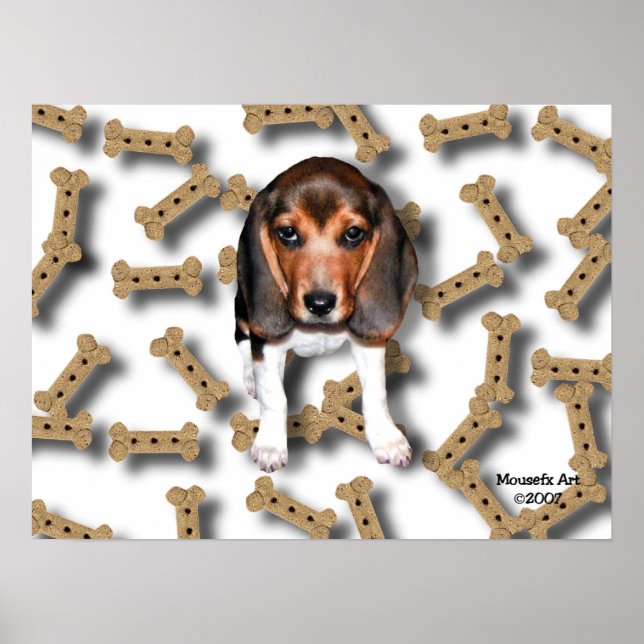 Beagle & Dog Biscuits Poster (Front)