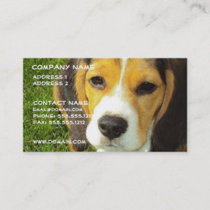 Beagle Dog Business Card