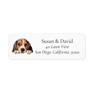 Beagle Dog Dog Breed Pet Lovers