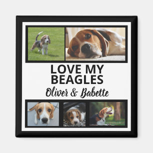 Beagle Dog Owner and Proud Puppy Dog Photo Collage Magnet