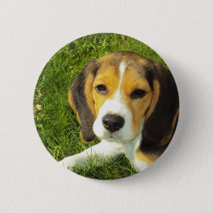 Beagle Dog Pet Animals Peace Love 6 Cm Round Badge