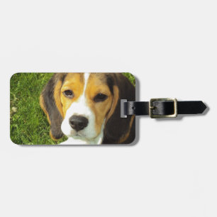 Beagle Dog Pet Animals Peace Love Luggage Tag