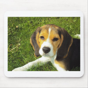 Beagle Dog Pet Animals Peace Love Mouse Pad