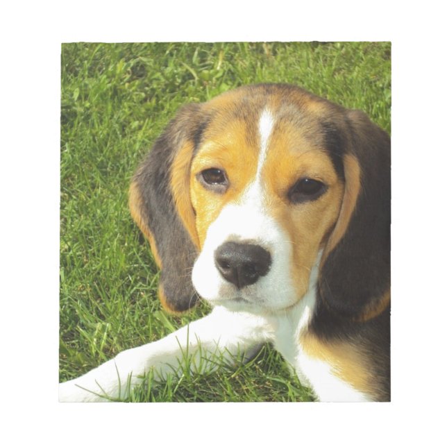 Beagle Dog Pet Animals Peace Love Notepad (Front)