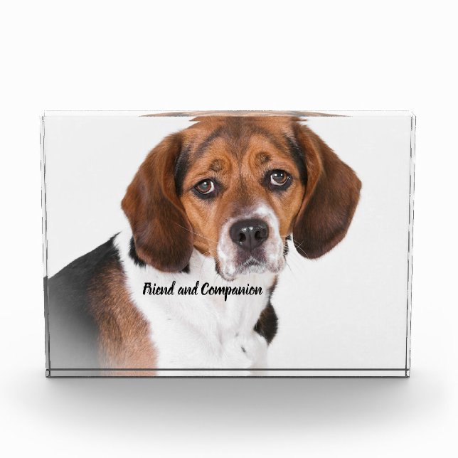 Beagle Dog Photo Block (Front)