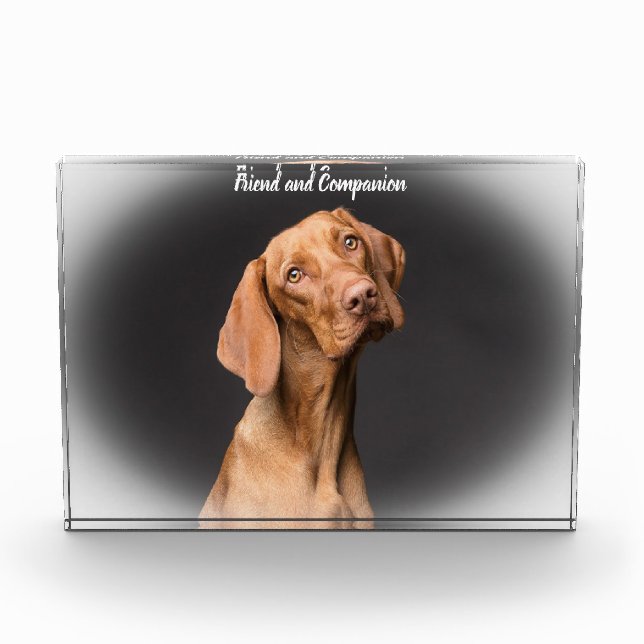 Beagle Dog Photo Block (Front)