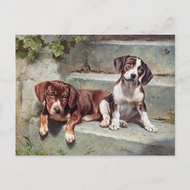 Beagle Dog Puppies Vintage Animal Postcard (Front)