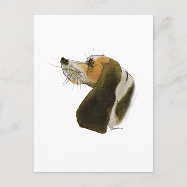 Beagle dog, tony fernandes postcard (Front)