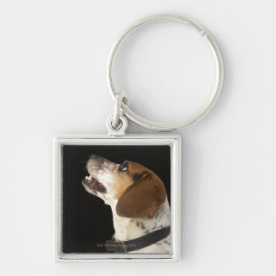 Beagle dog with black collar profile key ring