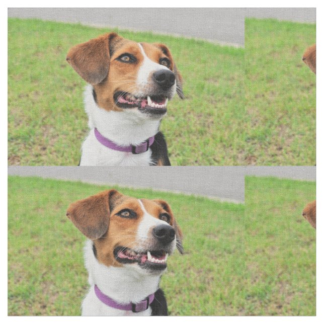 Beagle Fabric (Close Up)