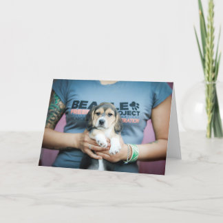 Beagle Freedom Pup on T-Shirt Card