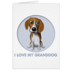 Beagle Granddog