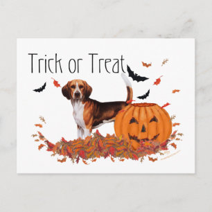 Beagle Halloween Postcard